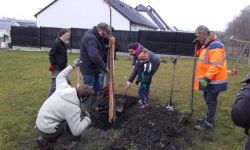 Plantations Cavalier   046